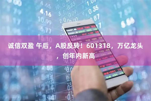 诚信双盈 午后，A股反转！601318，万亿龙头，创年内新高